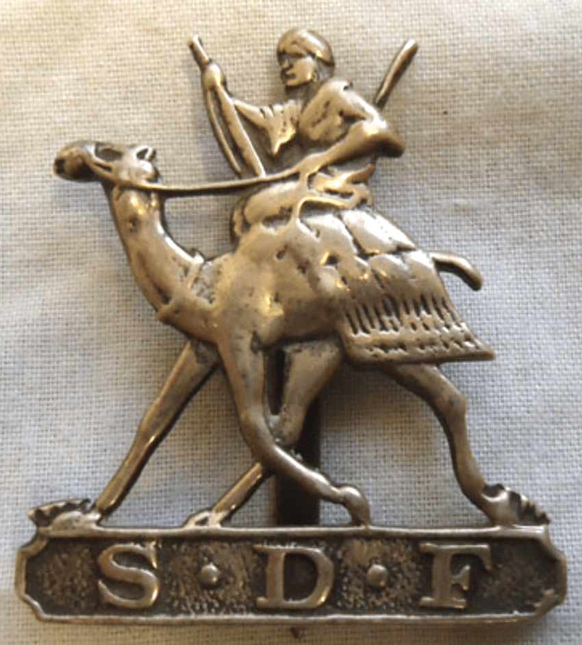 S.D.F cap badge for sale