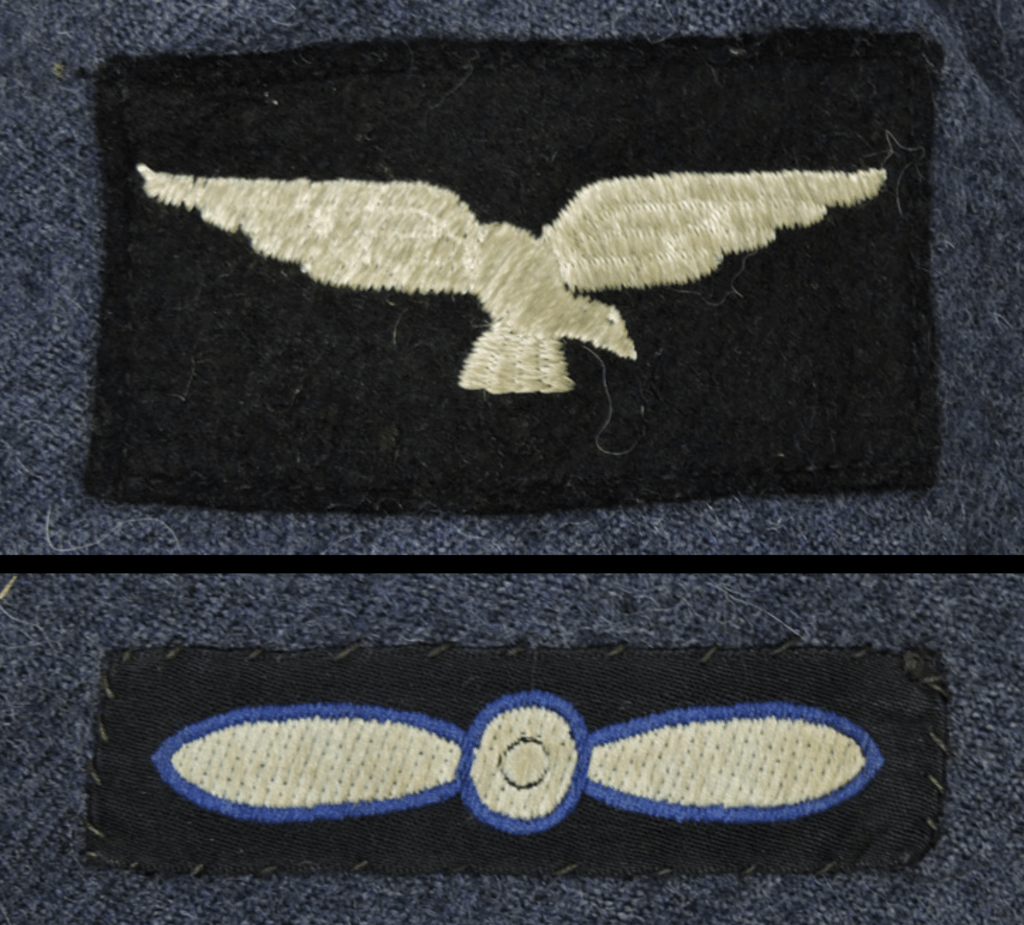 RAF sleeve insignia.