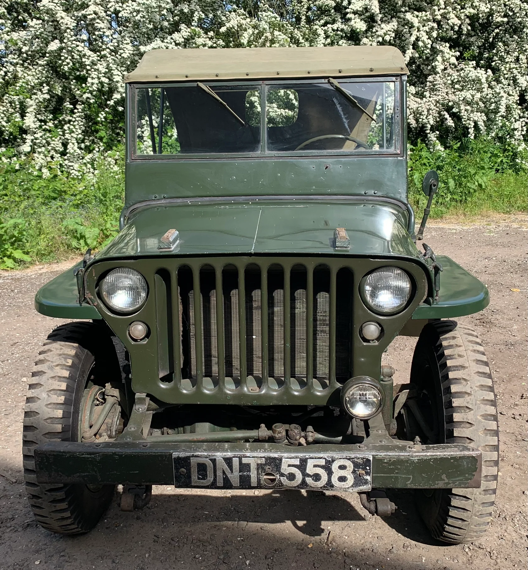 willys jeep for sale 